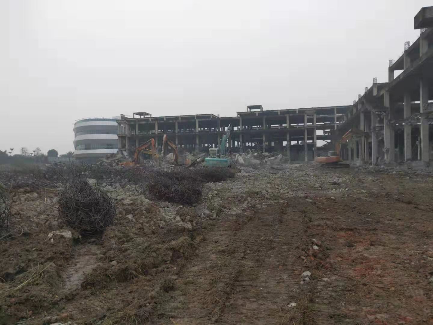 澳门体育平台app